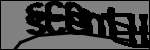 متن برای شناسایی