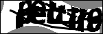 متن برای شناسایی